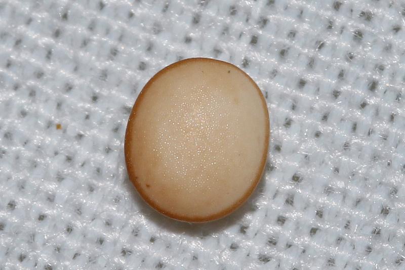 MOI-pnt273