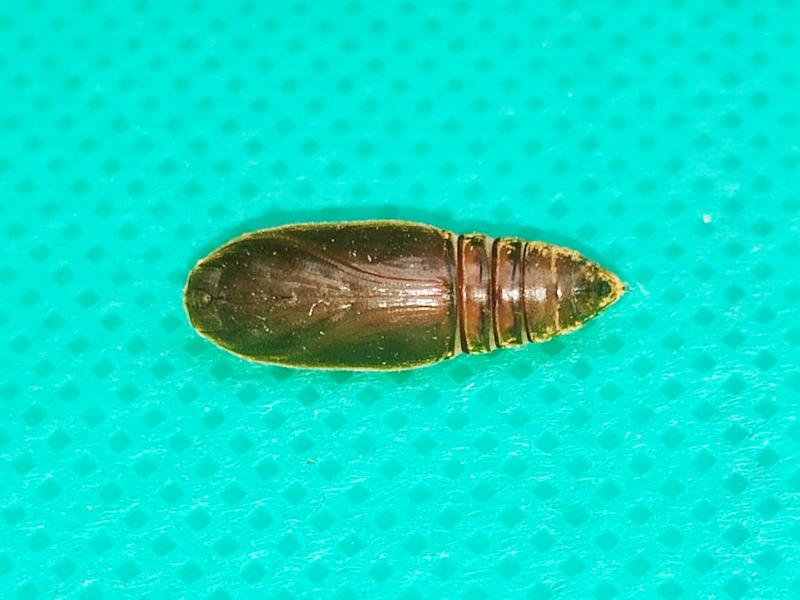 MOI-ppa697