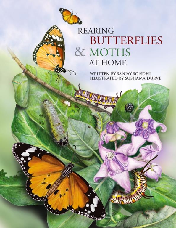 Rearing butterflies and moths book cover 1