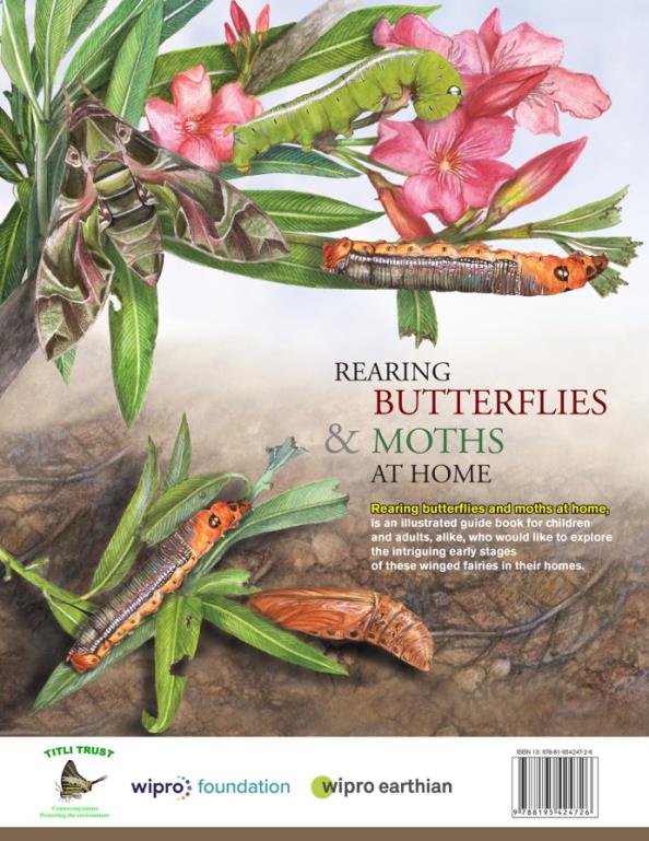 Rearing butterflies and moths cover 2